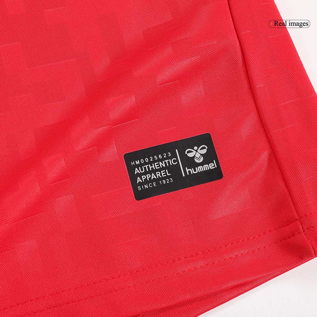 2024/25 Denmark Home Shirt